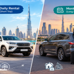 Daily vs monthly car rental dubai